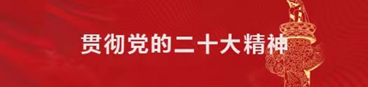 黨的二十大